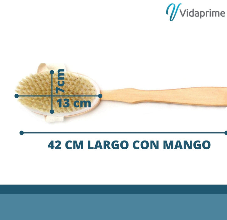 Cepillo Exfoliante Corporal Ducha SPA