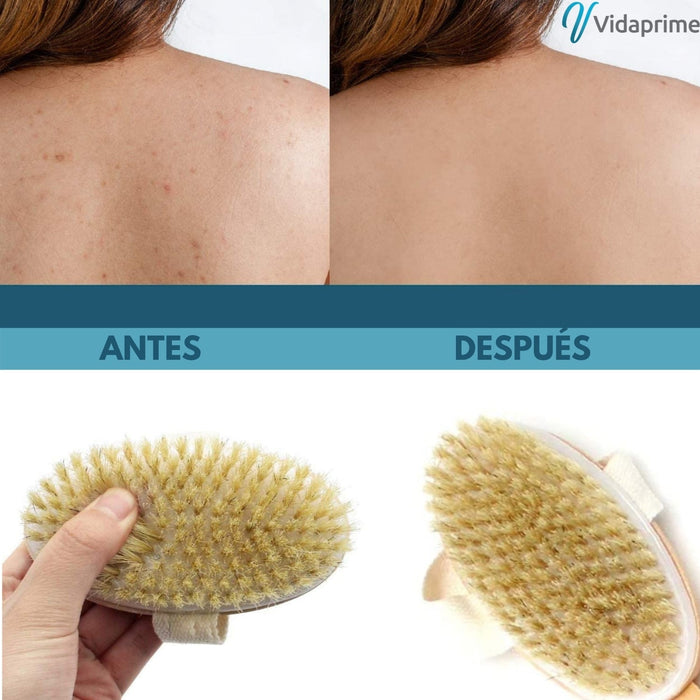 Cepillo Exfoliante Corporal Ducha SPA