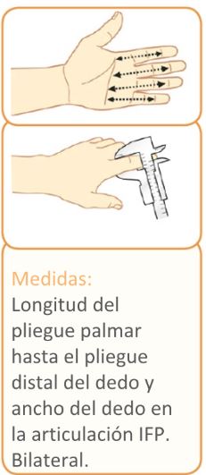 Férula Extensora de dedo BORT | Por Tallas