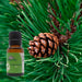 aceite-esencial-de-pino-propiedades-ortoprime