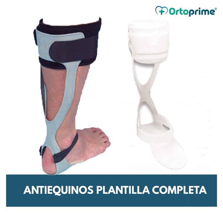 antiequino-rancho-de-los-amigos-ortoprime